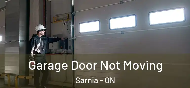  Garage Door Not Moving Sarnia - ON