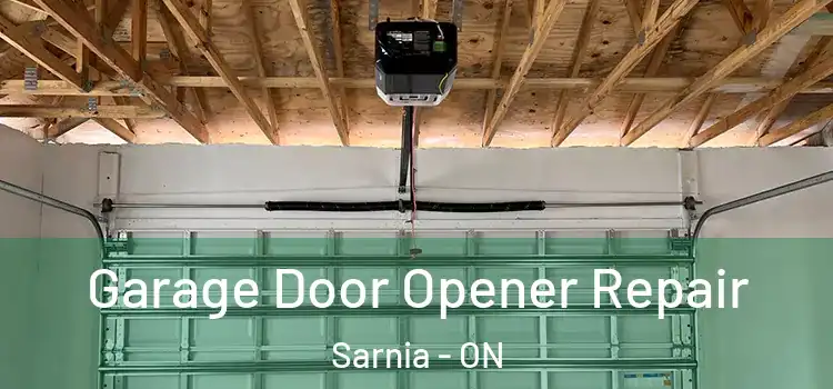  Garage Door Opener Repair Sarnia - ON
