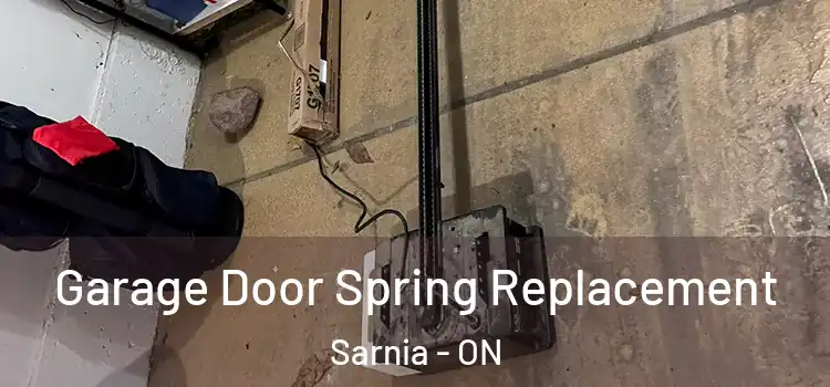  Garage Door Spring Replacement Sarnia - ON
